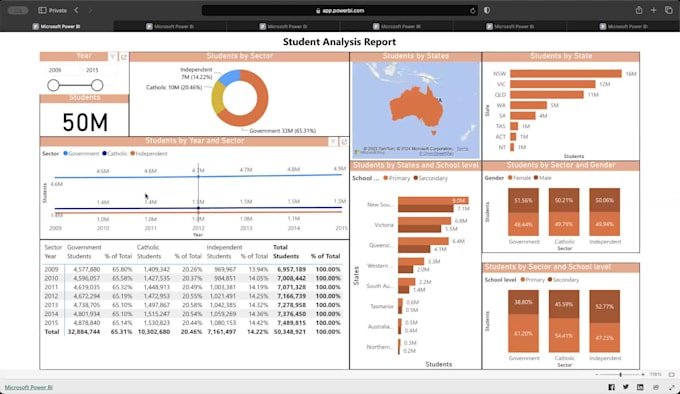 Power BI expert gig