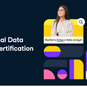 Professional Data Analyst Certification