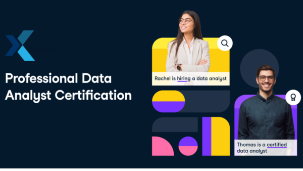 Professional Data Analyst Certification